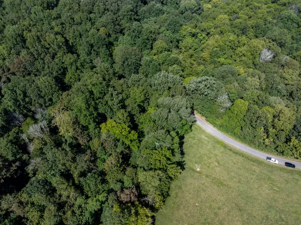 an aerial view of a garden with plants