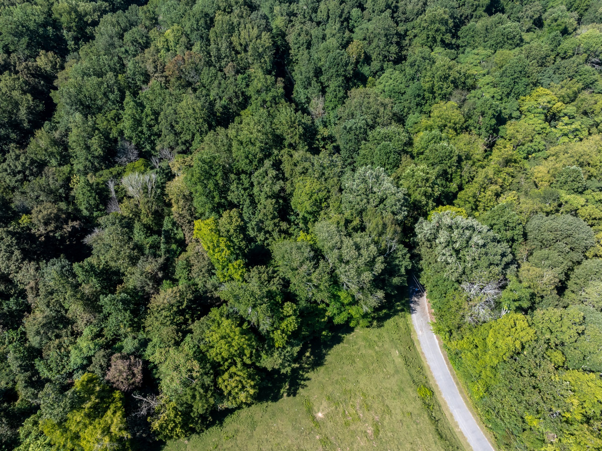 0 Mann Road Huntland, TN 37345 - Photo 8 of 15 a view of a garden with a building