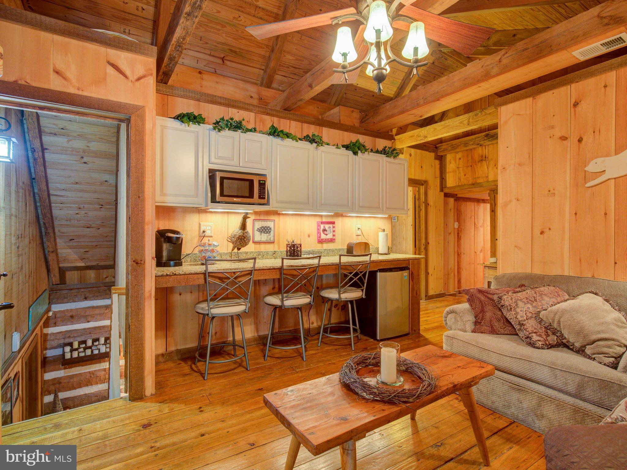 36847 Stony Point Road Purcellville, VA 20132 - Photo 15 of 57 Upper level family room with bar area and fridge