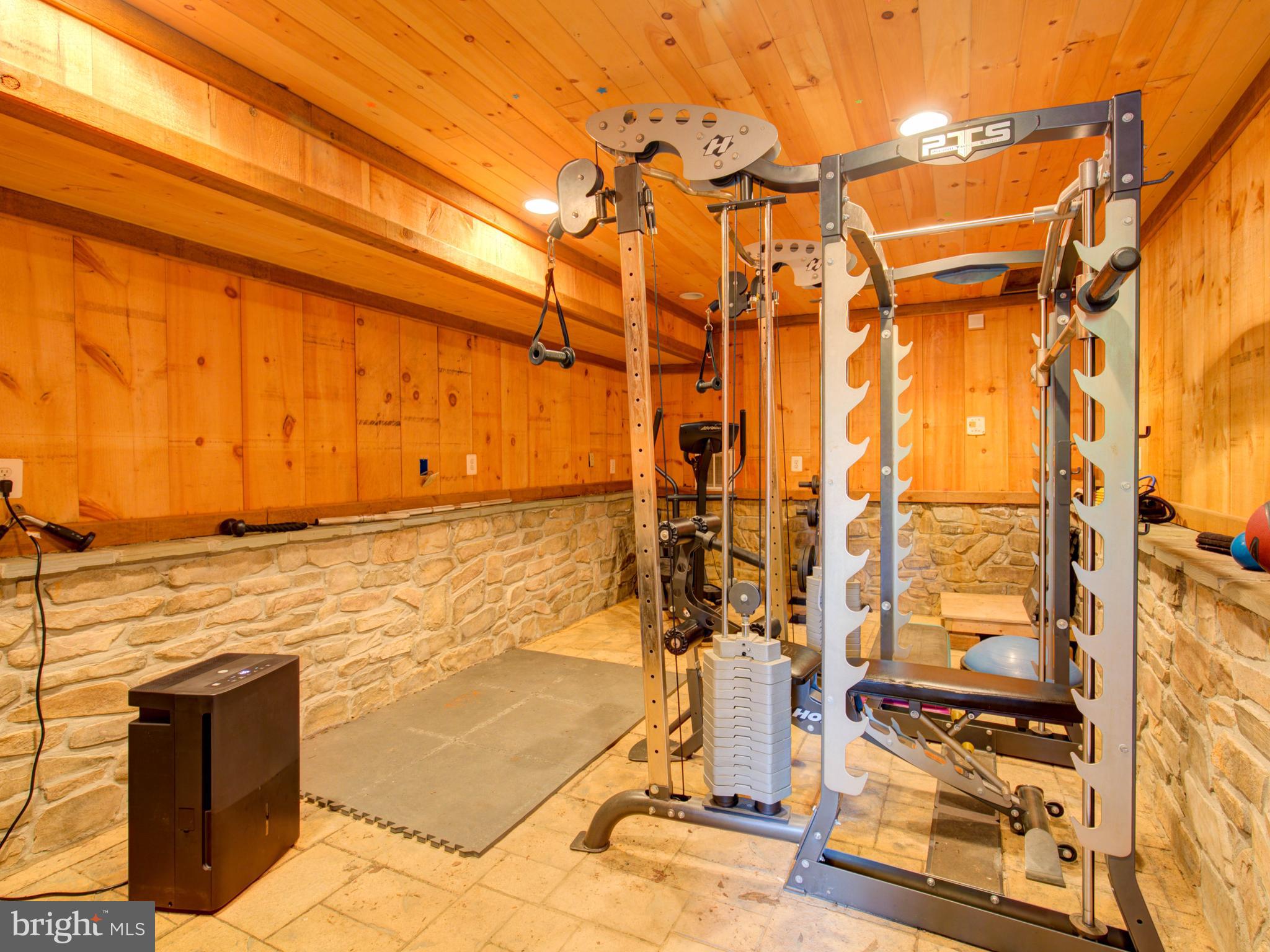 36847 Stony Point Road Purcellville, VA 20132 - Photo 38 of 57 lower level workout area or future wine cellar