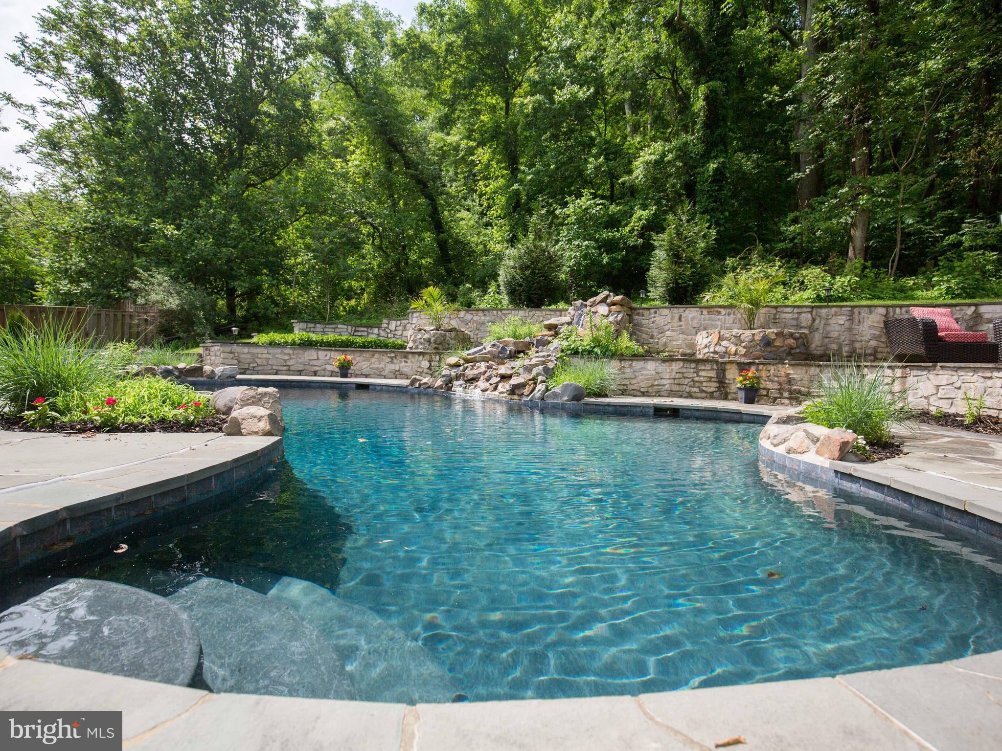 36847 Stony Point Road Purcellville, VA 20132 - Photo 40 of 57 heated pool