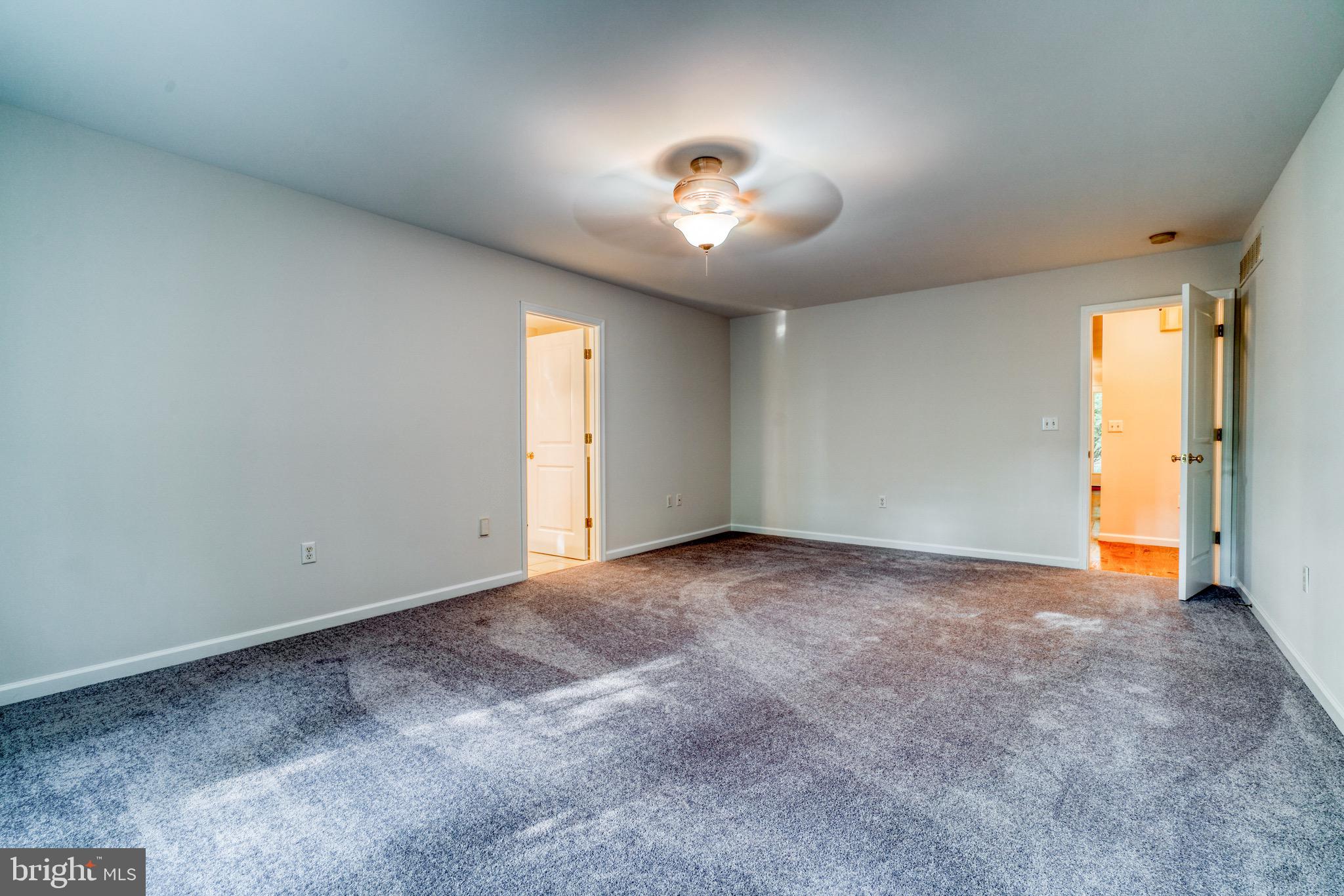 9540 Fairlee Road Chestertown, MD 21620 - Photo 12 of 31 Primary bedroom with new carpet