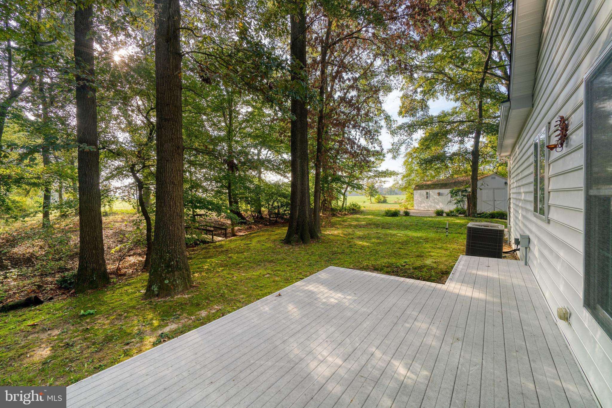 9540 Fairlee Road Chestertown, MD 21620 - Photo 26 of 31 Idyllic setting in the woods, backing to farmland