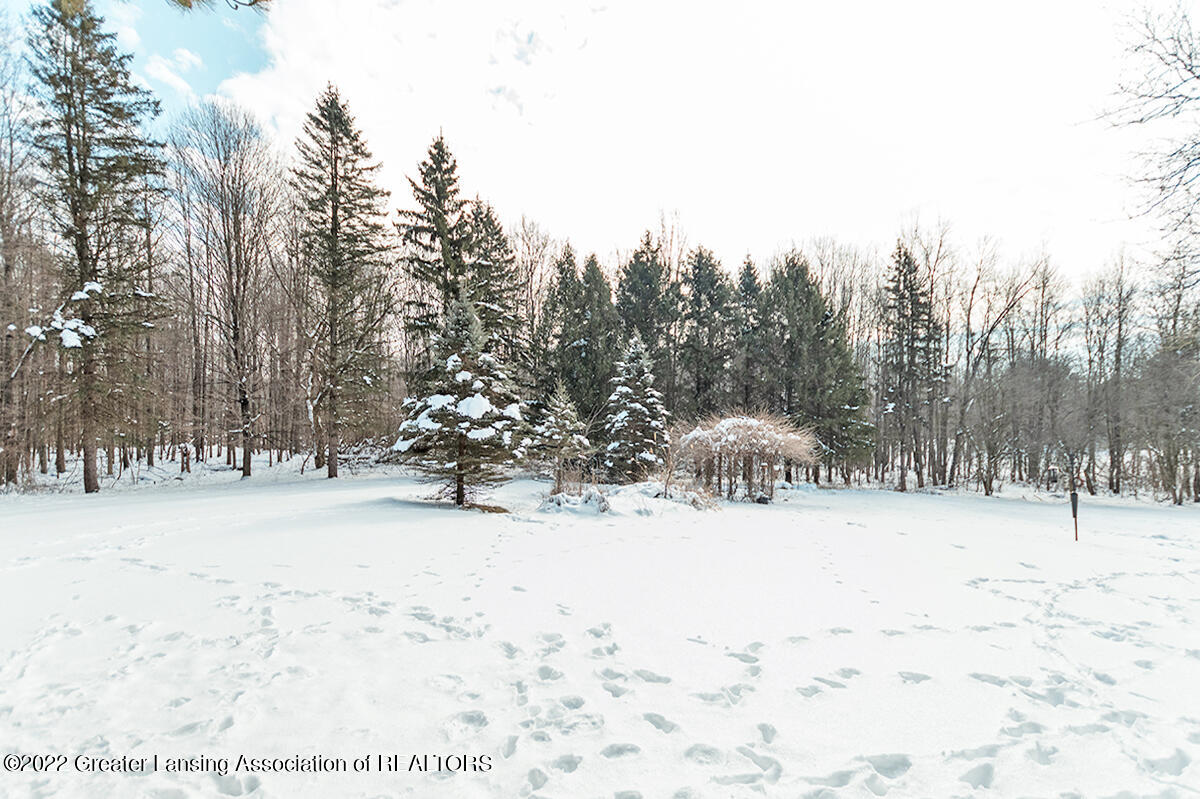 2956 Dobie Road Mason, MI 48854 - Photo 47 of 66 _DSC1388