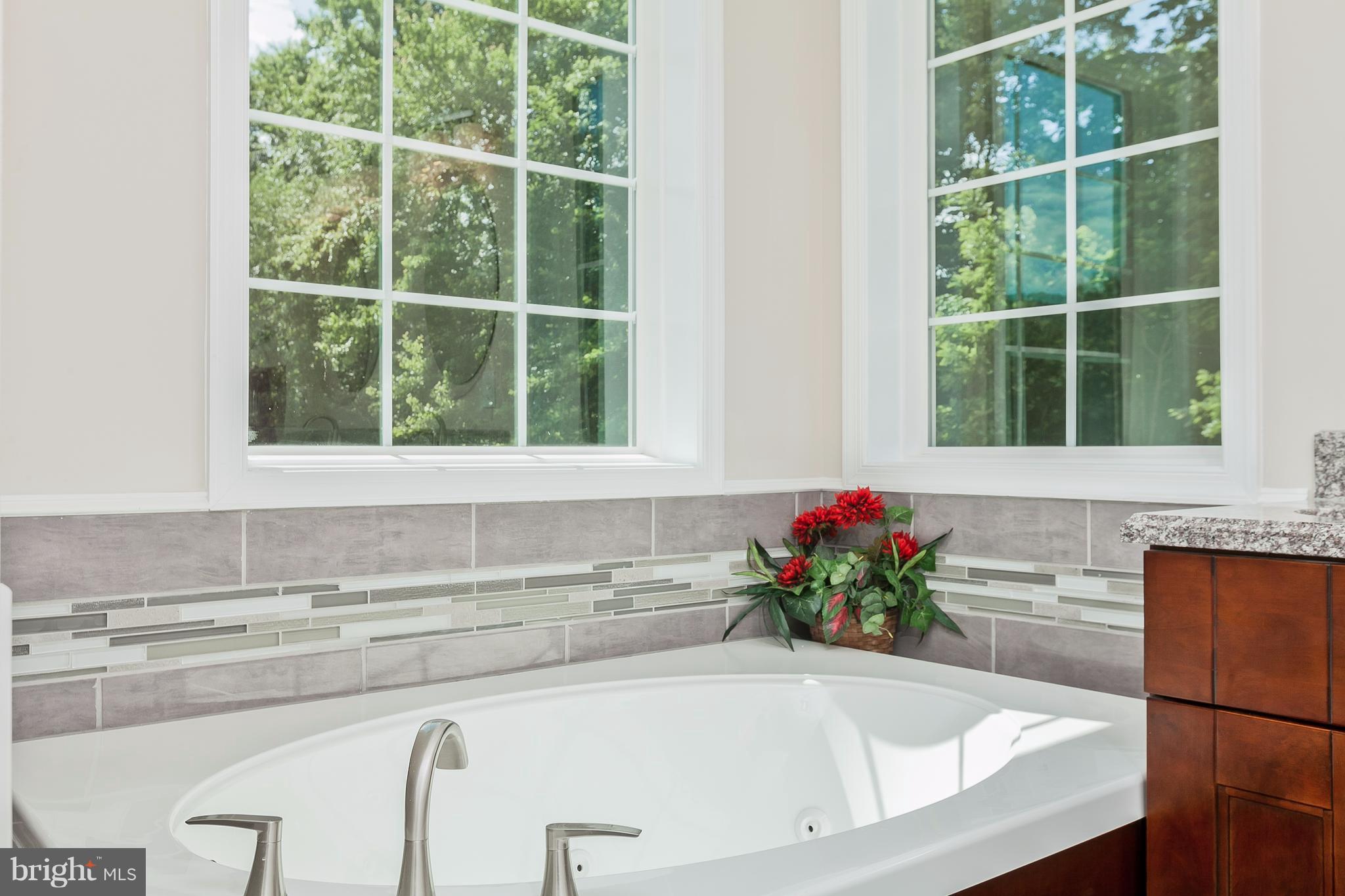 6241 Appletown Road Boonsboro, MD 21713 - Photo 24 of 30 Luxury Master Bath