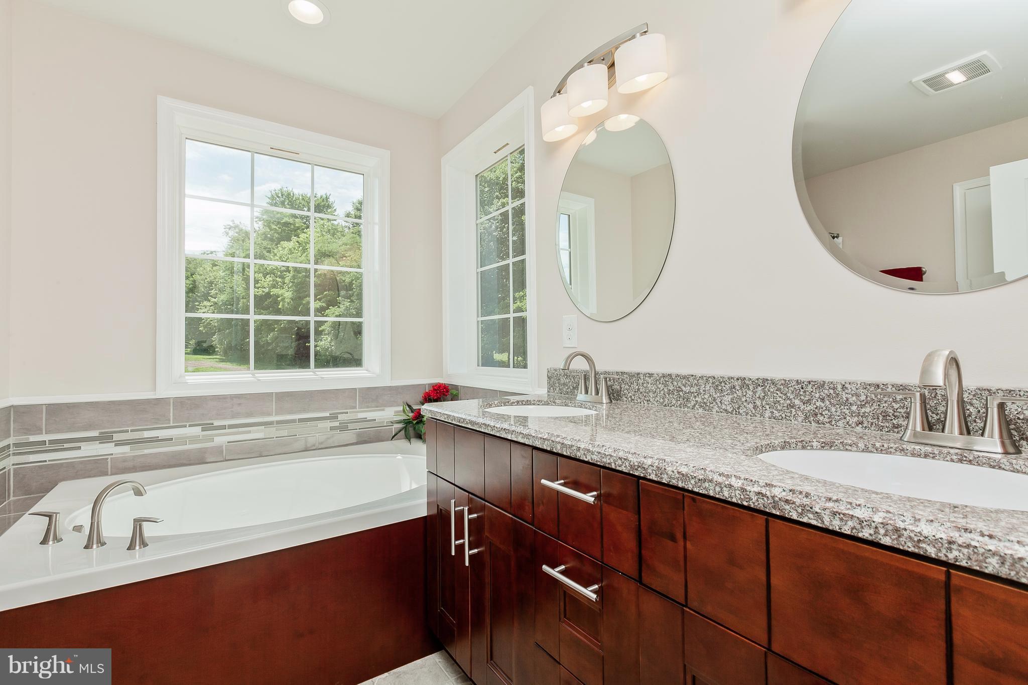 6241 Appletown Road Boonsboro, MD 21713 - Photo 25 of 30 Luxury Master Bath