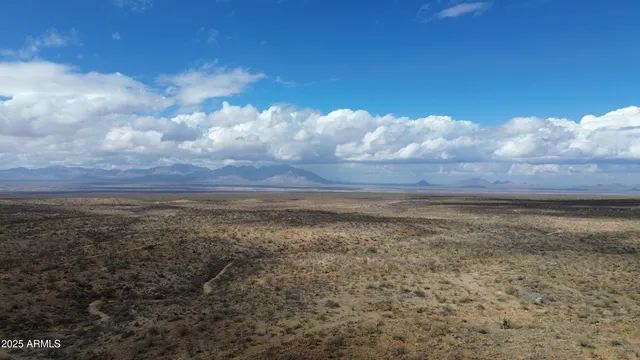 a view of a lake in middle of forest