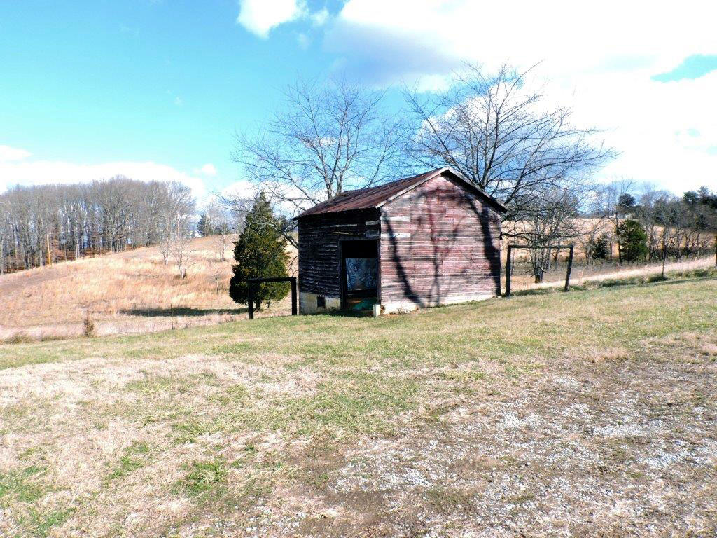 1184 Flowing Spring Road Buchanan, VA 24066 - Photo 22 of 31 Barn and Pastures