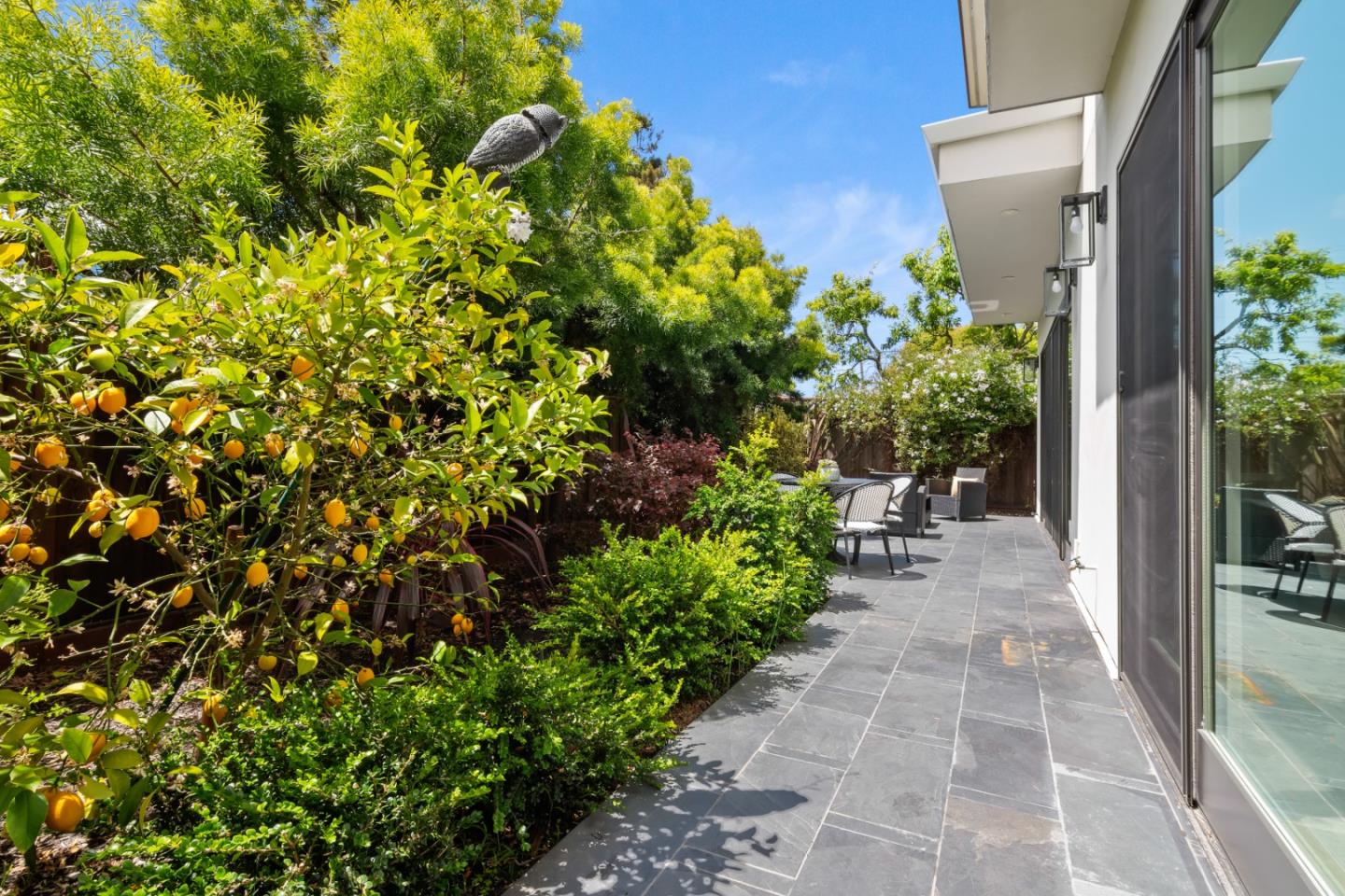 910 Cedar Street Berkeley, CA 94710 - Photo 14 of 39 a view of a backyard with potted plants