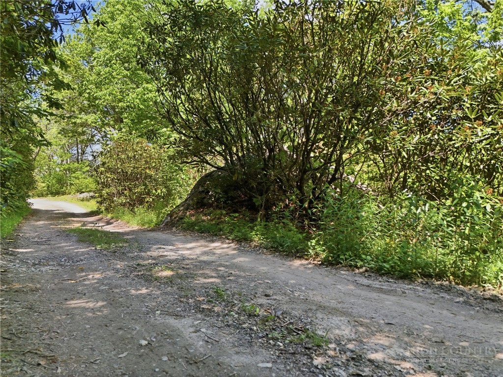 Lot #32 Snowridge Road Banner Elk, NC 28604 - Photo 10 of 20 Gallery Image 10