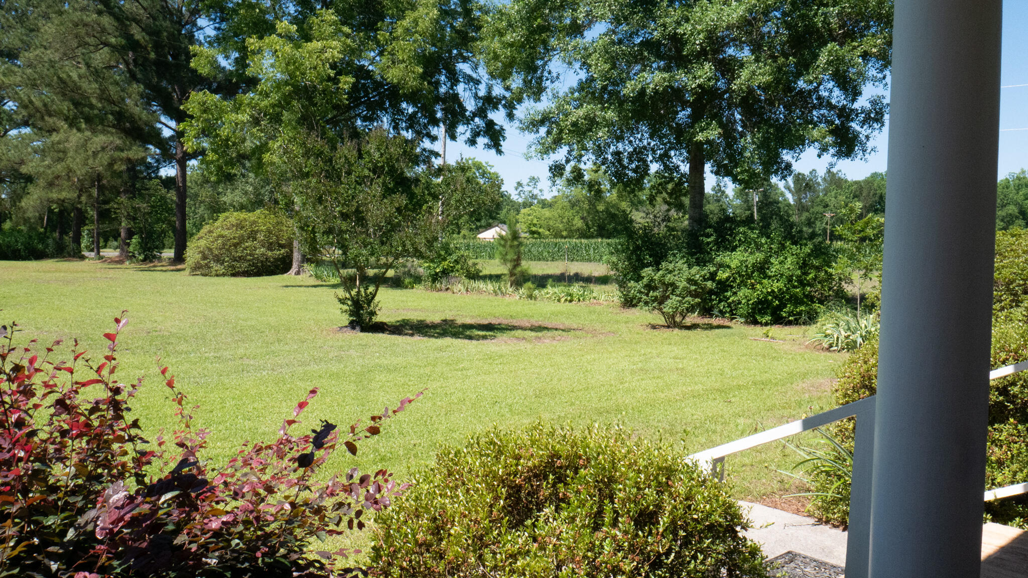 3758 Altman Road Hampton, SC 29924 - Photo 55 of 55 P1090478