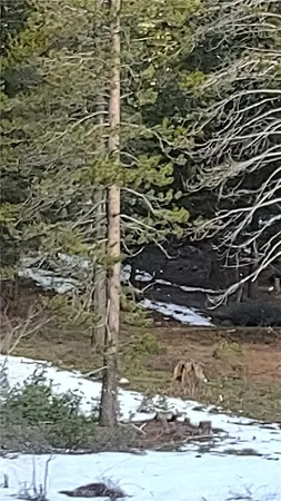 $29,000 | 0 Lot 16 Block 26, Unit 2, Alturas, CA 96101