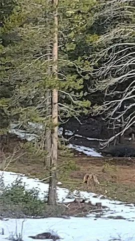 $29,000 | 0 Lot 16 Block 26, Unit 2, Alturas, CA 96101