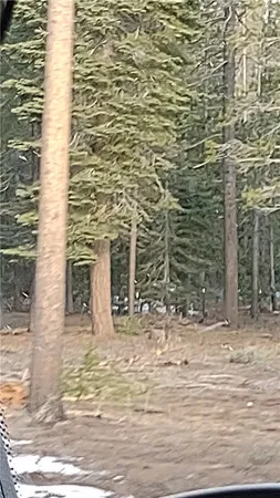 $29,000 | 0 Lot 16 Block 26, Unit 2, Alturas, CA 96101