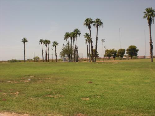 2215 West Roeser Road Phoenix, AZ 85041 - Photo 8 of 9 Park Across The Street