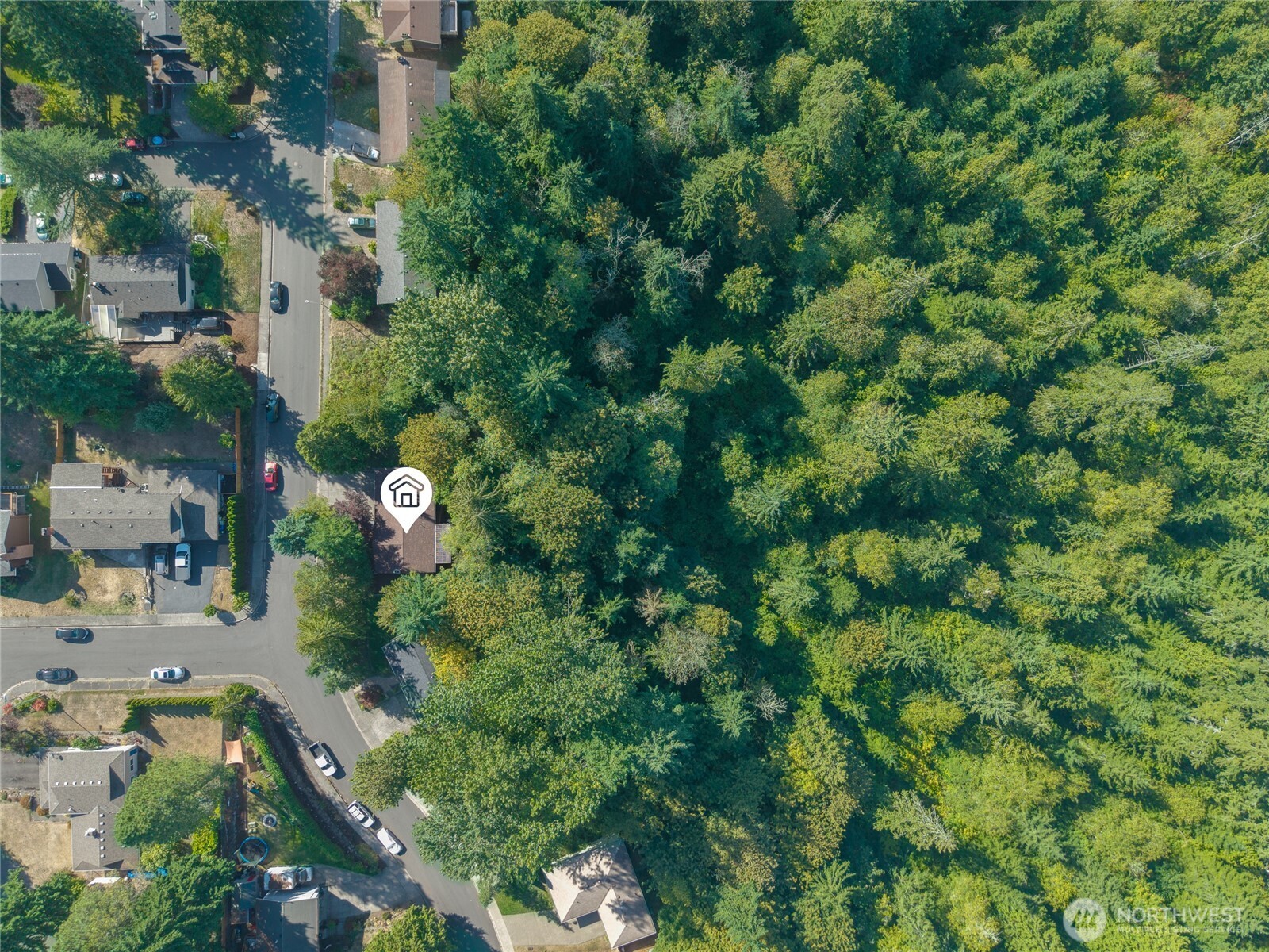 12718 Southeast 184th Place Renton, WA 98058 - Photo 31 of 34 an aerial view of a residential houses with outdoor space and trees all around