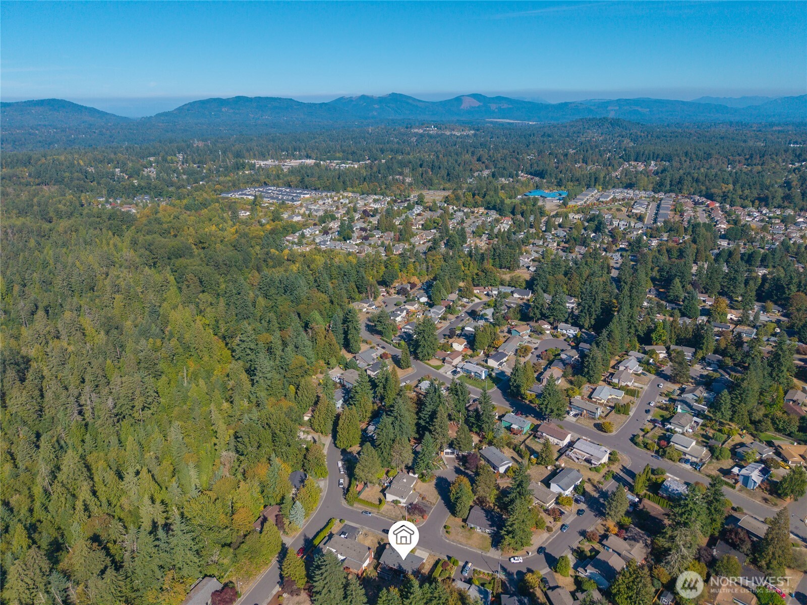 12718 Southeast 184th Place Renton, WA 98058 - Photo 34 of 34 an aerial view of residential houses with outdoor space and trees