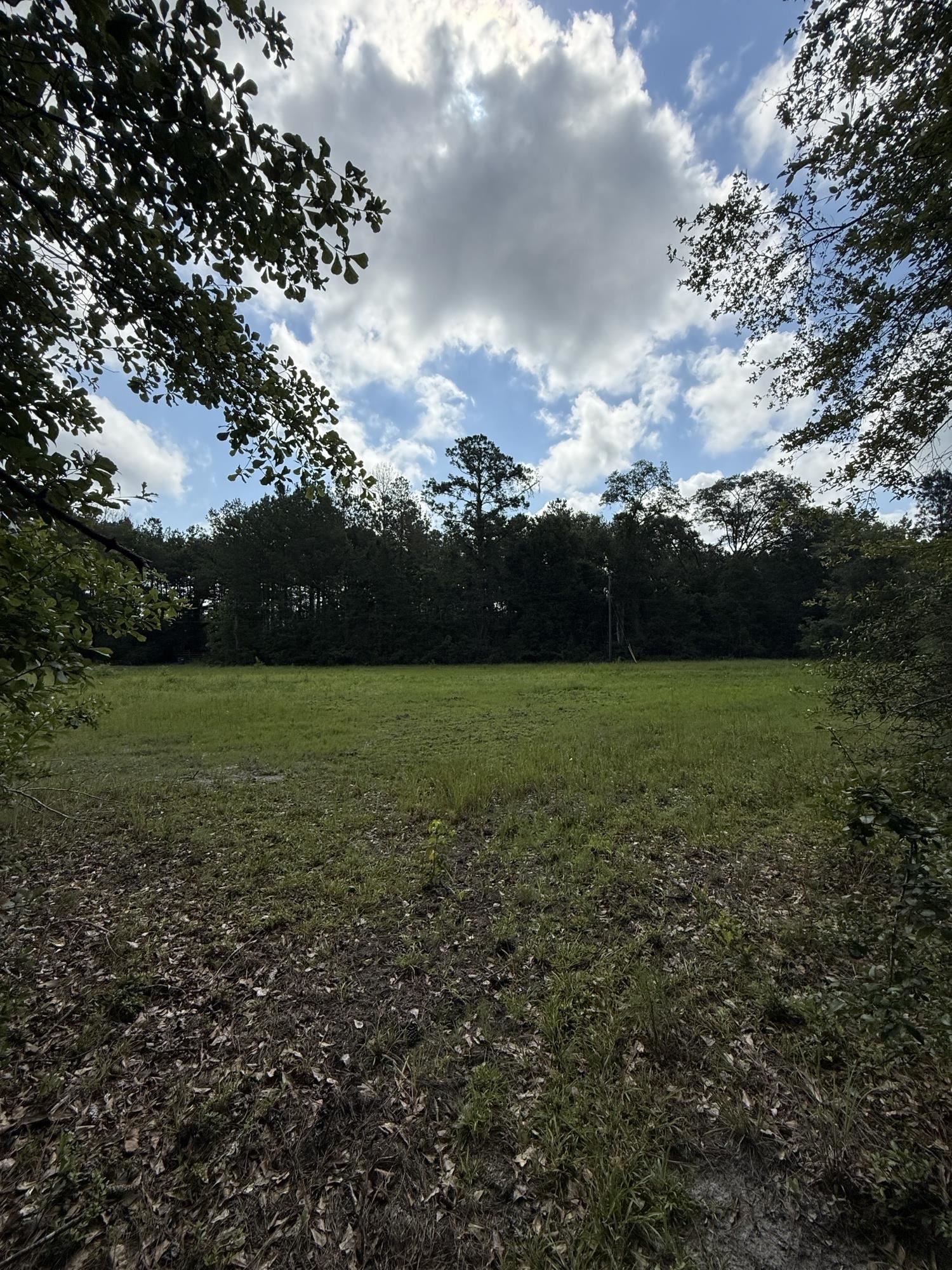 Xxx Neely Road Monticello, FL 32344 - Photo 29 of 37