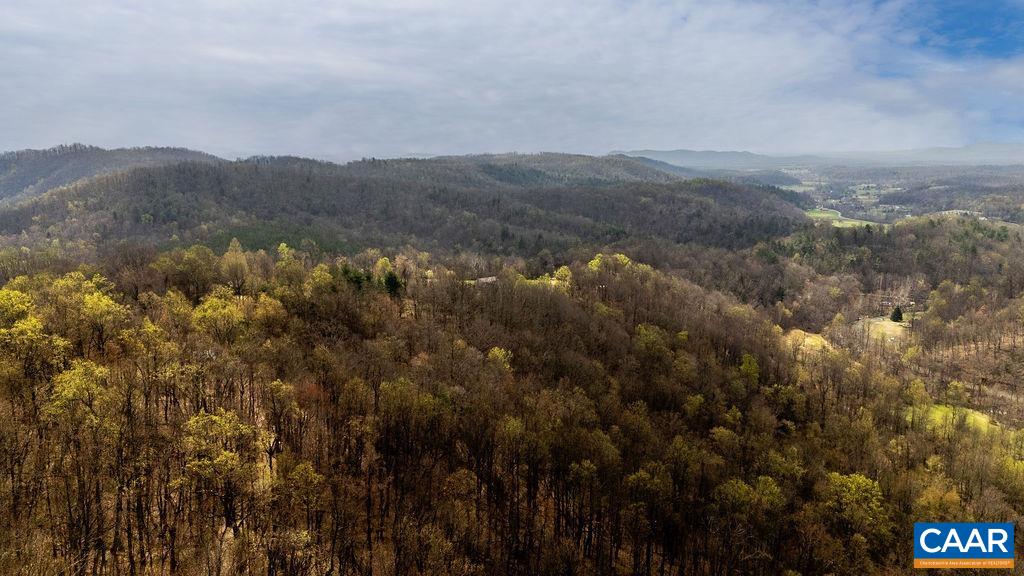 Tbd Jack's Hill Road Roseland, VA 22967 - Photo 17 of 19