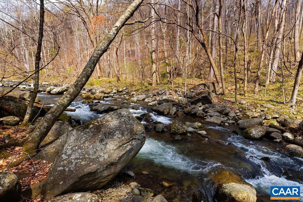 Tbd Jack's Hill Road Roseland, VA 22967 - Photo 5 of 19