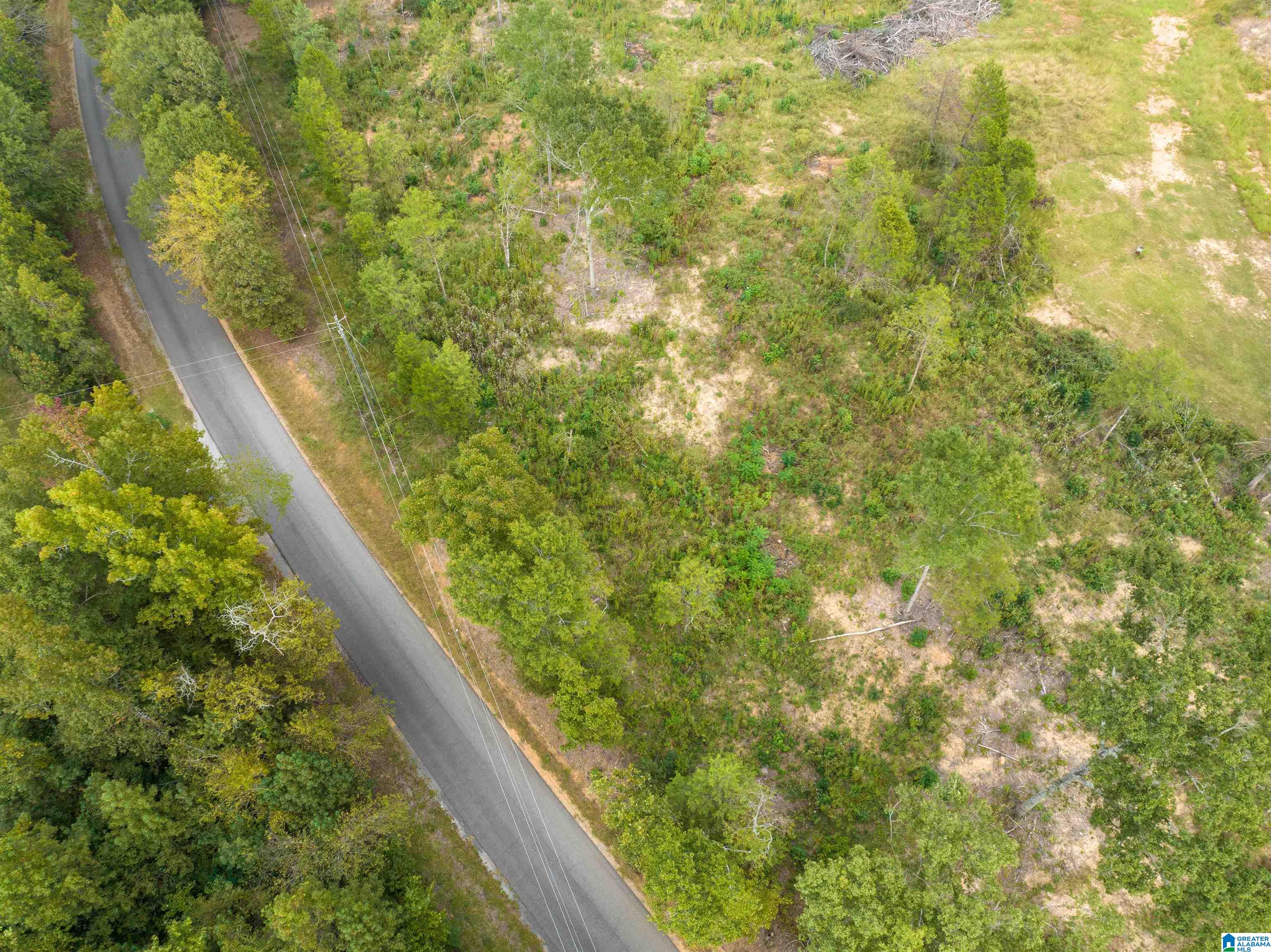0 Campbell Road Munford, AL 36268 - Photo 9 of 13