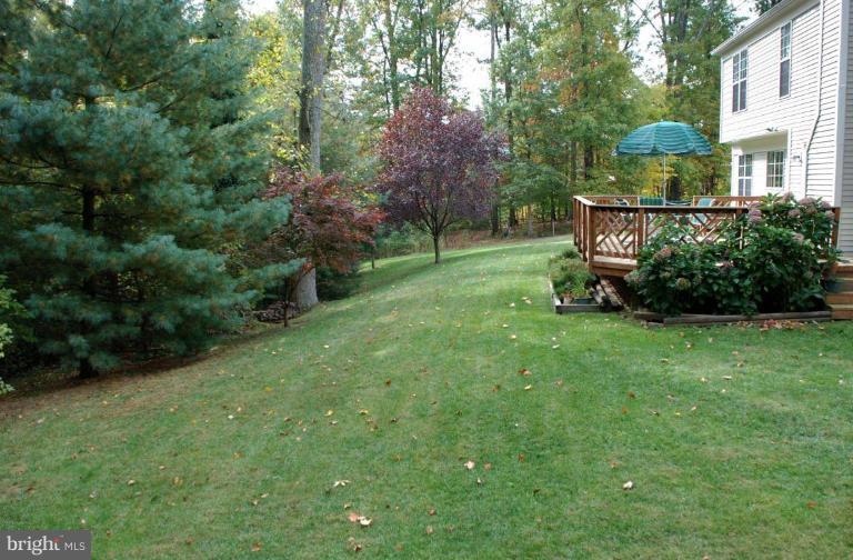 715 Rufford Court Accokeek, MD 20607 - Photo 8 of 9 Back yard