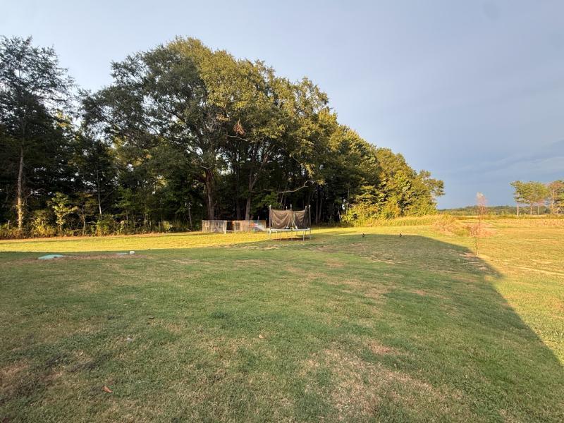 5082 River Road Mantachie, MS 38855 - Photo 15 of 16 Gallery Image 15