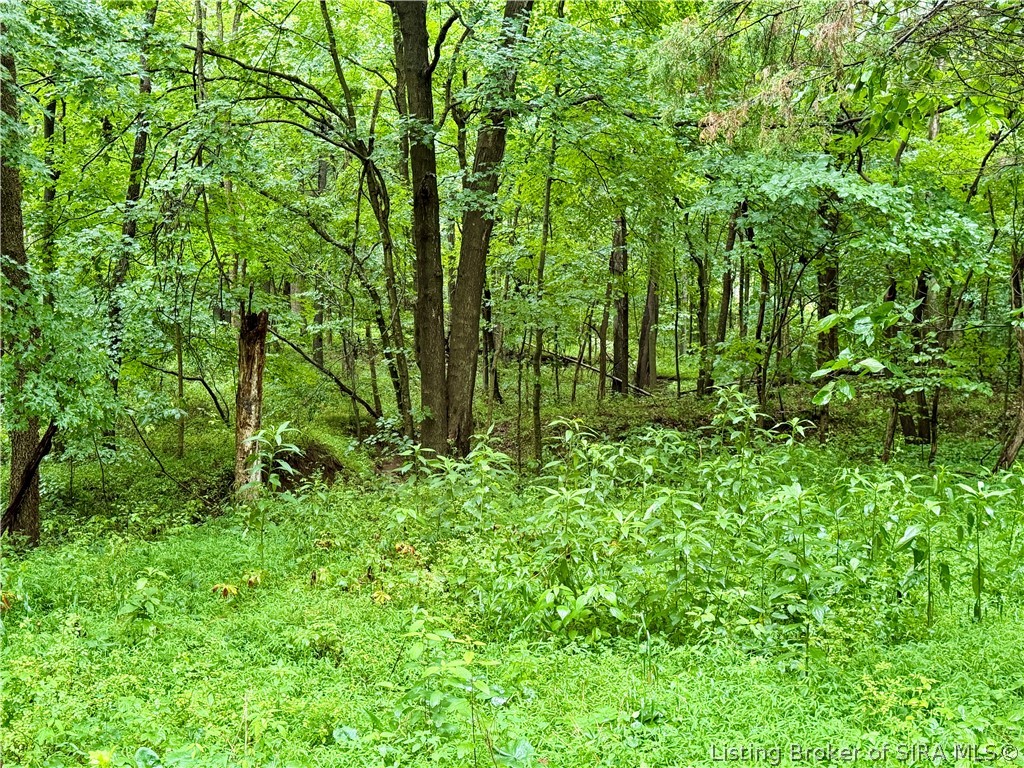 Pfister Road Otisco, IN 47163 - Photo 27 of 50