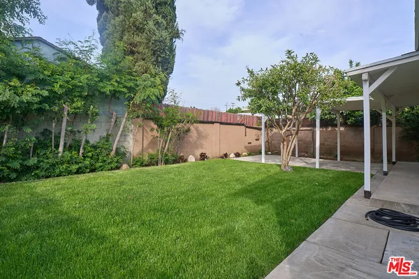 a view of a backyard with plants and a large tree