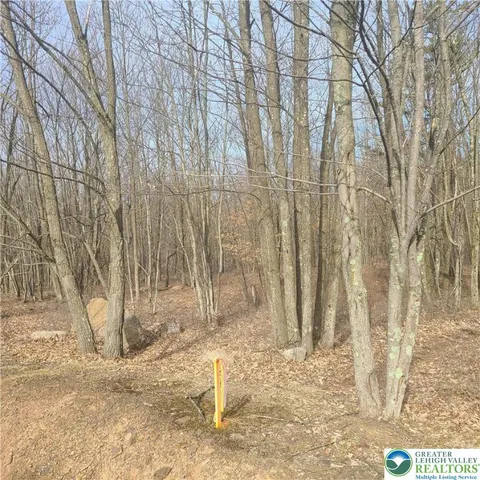 a vase of flowers sitting on a floor