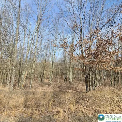 a view of backyard space