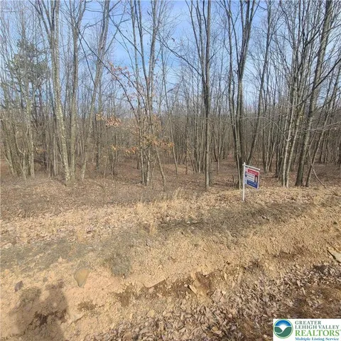 a view of outdoor space with trees