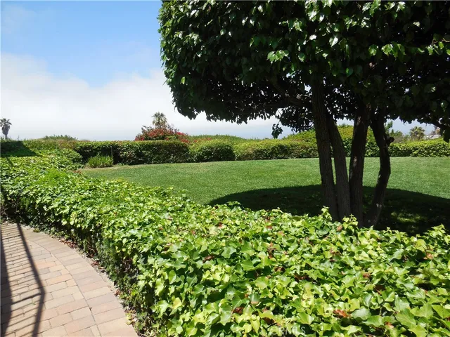 a view of a bunch of flowers in a garden