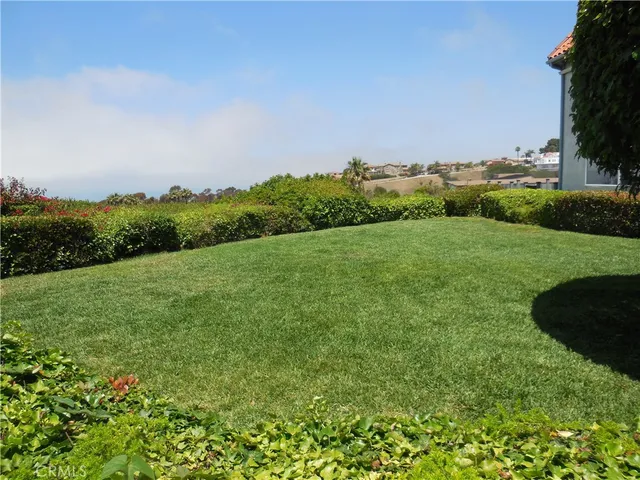 a view of a grassy field with trees