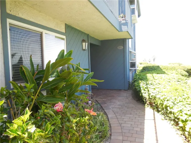 a plant is sitting in front of a house