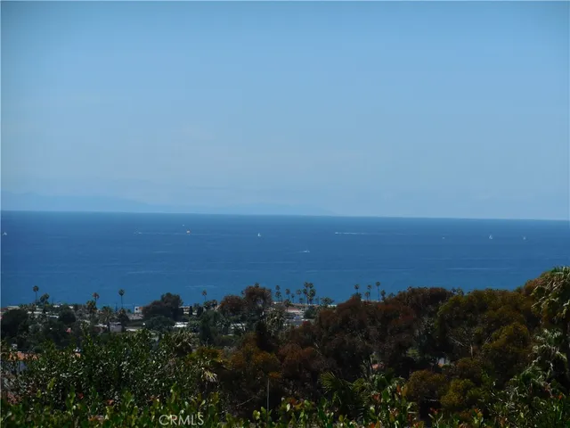 an aerial view of ocean and trees