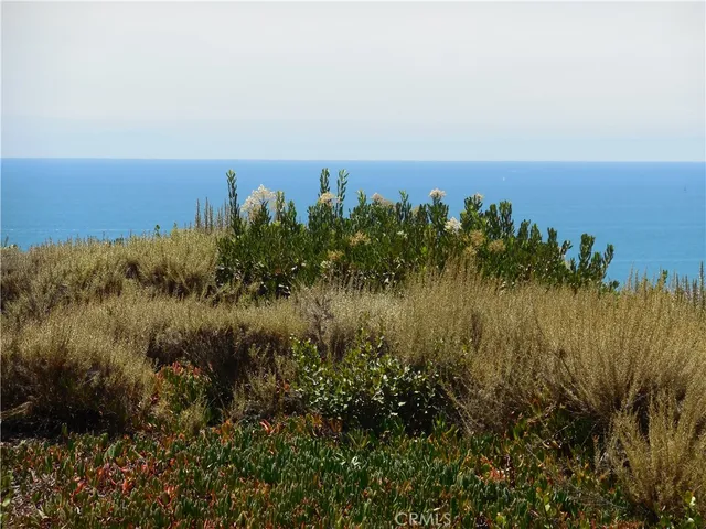 a view of a lake and green space