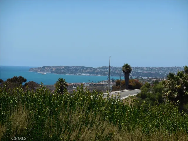 a view of a lake in middle of forest