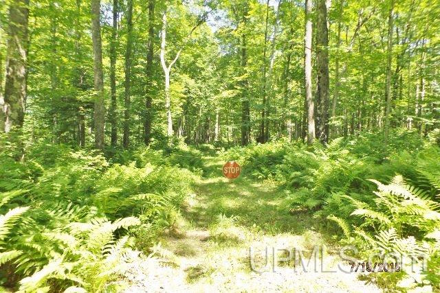 155 Wright Road Crystal Falls, MI 49920 - Photo 5 of 30 Gallery Image 5