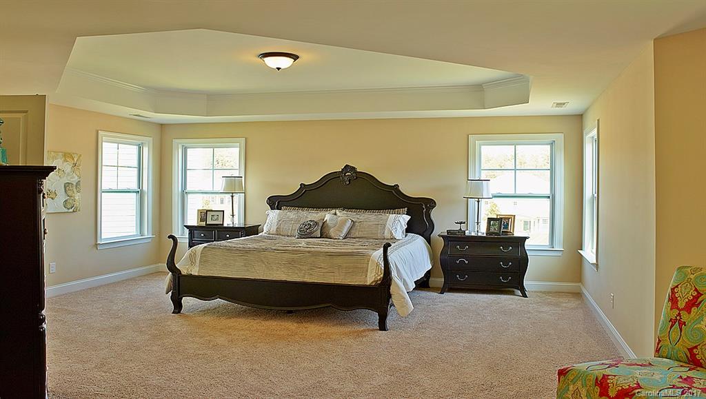 220 Forsythia Lane, Unit 733 Tega Cay, SC 29708 - Photo 12 of 24 Gallery Image 12
