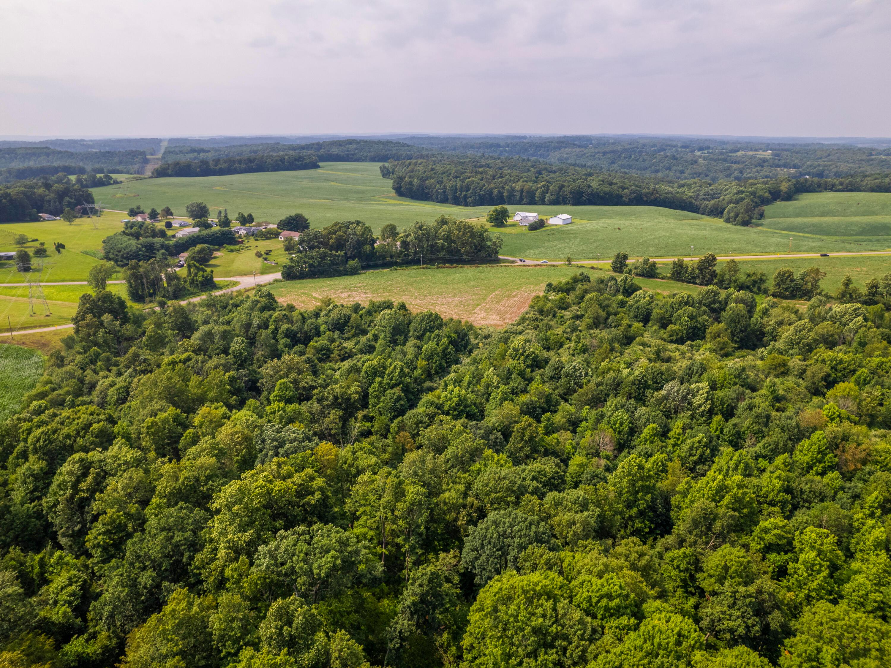 12600 Gilchrist Road Mount Vernon, OH 43050 - Photo 19 of 64 perkins-PRINT_44