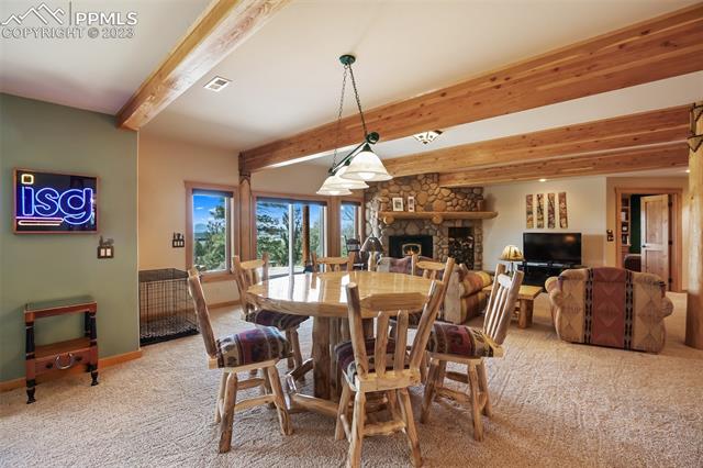 11155 Elk Ridge South Divide, CO 80814 - Photo 27 of 38