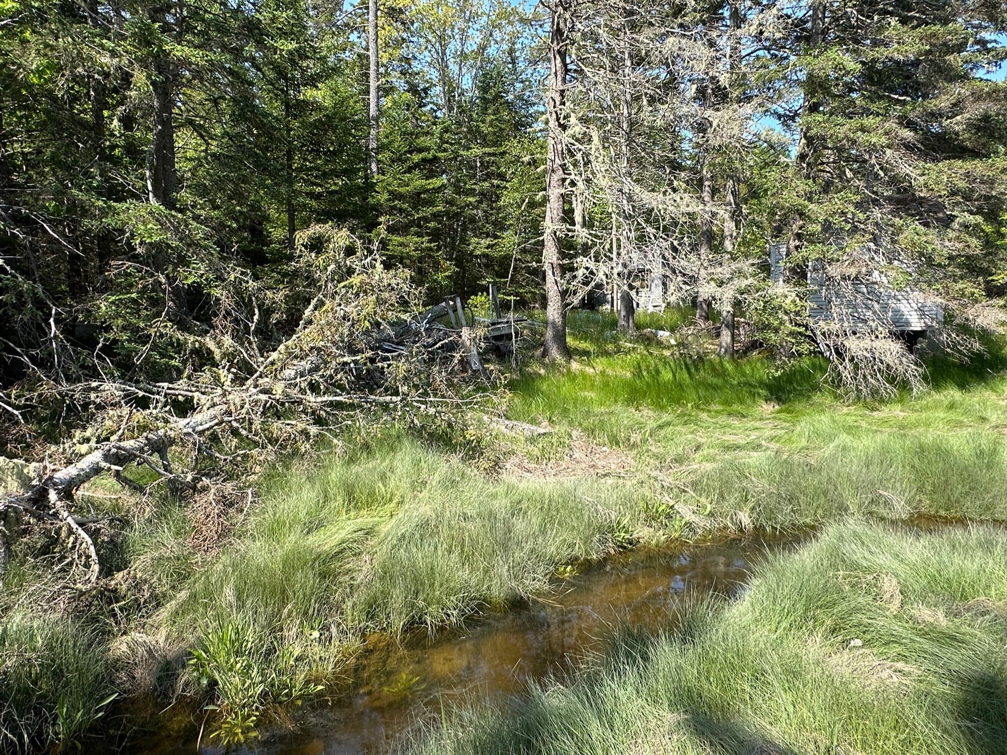 31 Fay Road Spruce Head, ME 04859 - Photo 18 of 77 7E4196E8-D7C9-4BCE-8776-C8082E2ABC4D