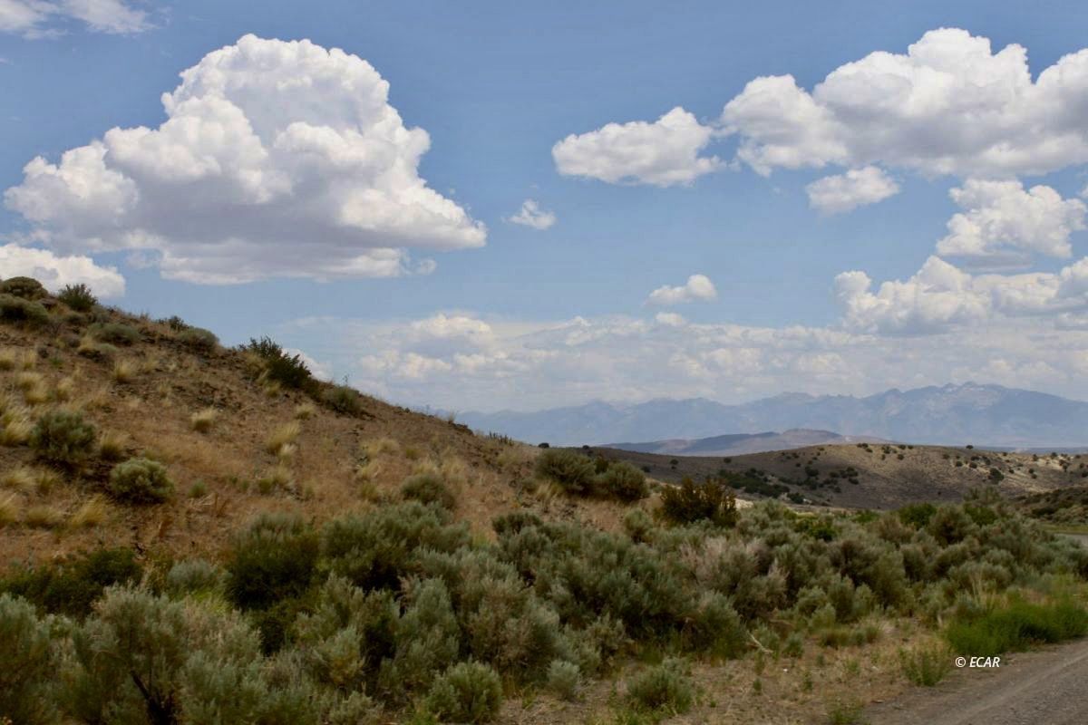 5th Street Elko, NV 89801 - Photo 1 of 20