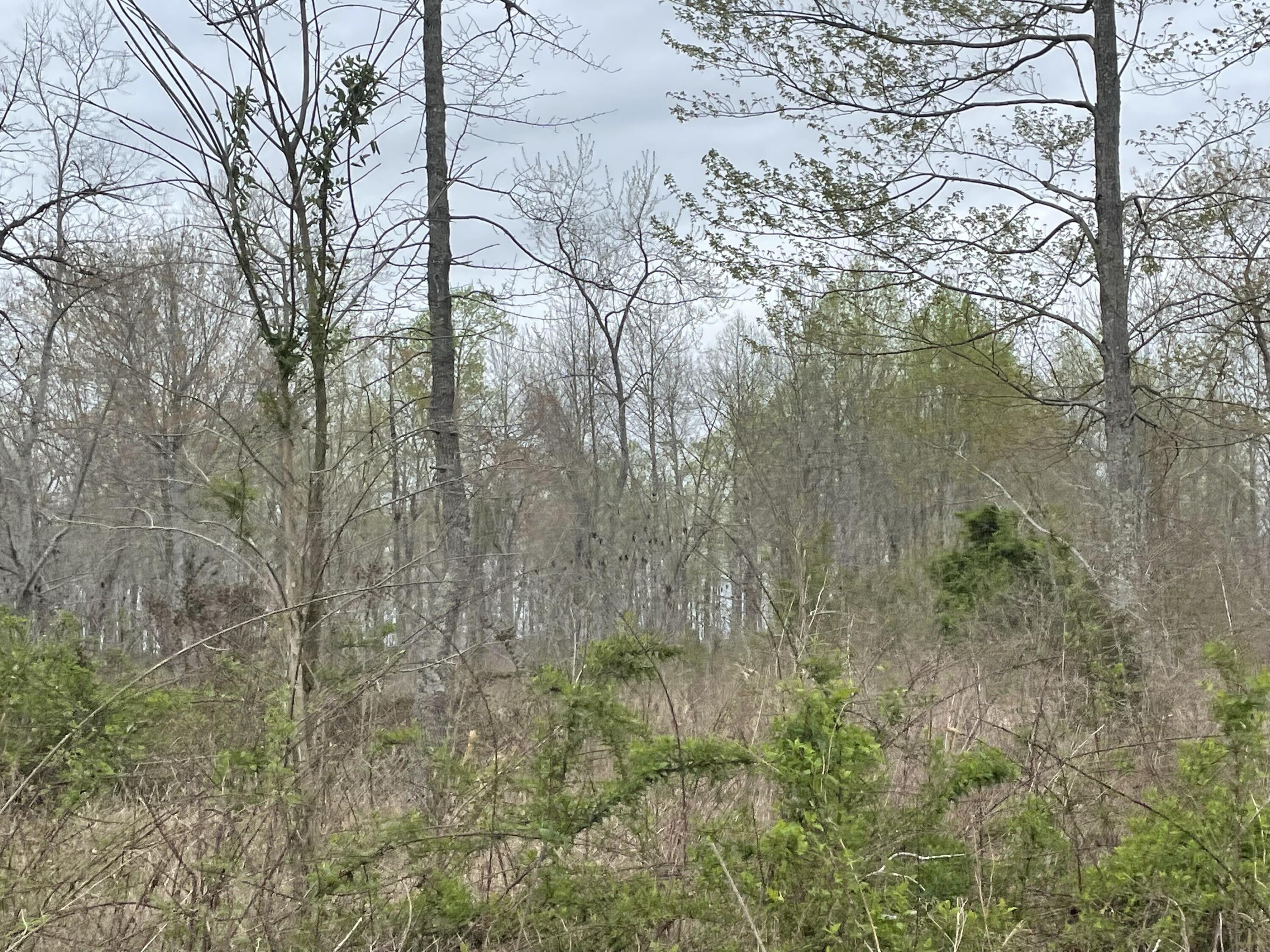 1326 Albright Mill Road Somerset, KY 42503 - Photo 5 of 16 F7B9806E-93A2-451C-BDCD-B286D365D338