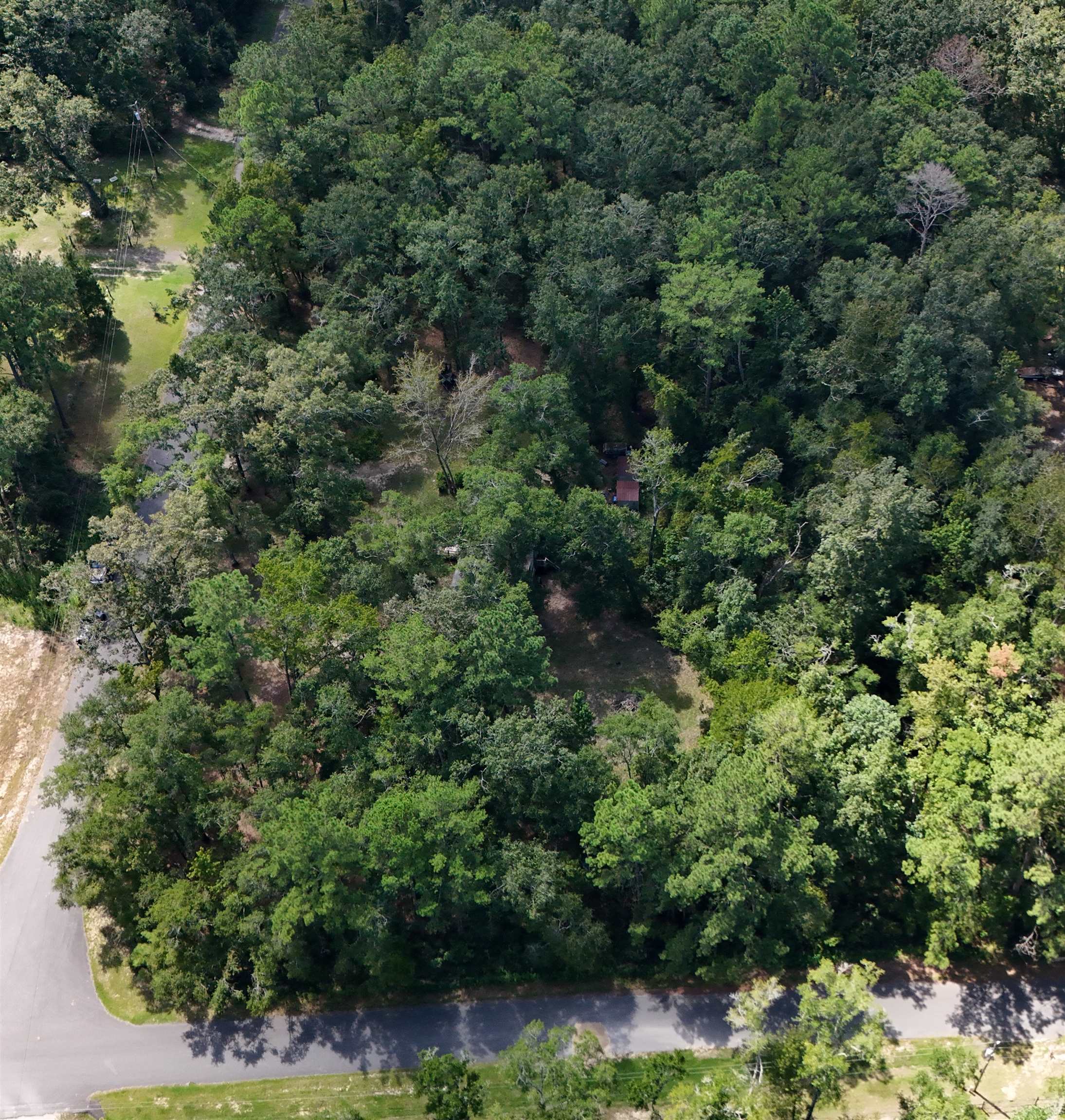 40 Westview Lane Monticello, FL 32344 - Photo 12 of 13