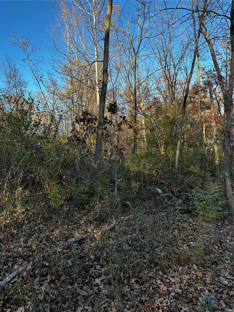 534 Elvins Drive Bismarck, MO 63624 - Photo 2 of 7