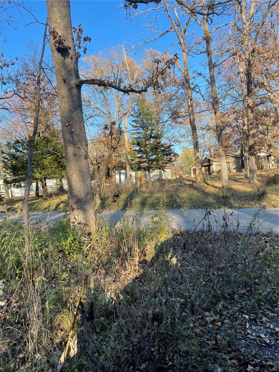 534 Elvins Drive Bismarck, MO 63624 - Photo 3 of 7