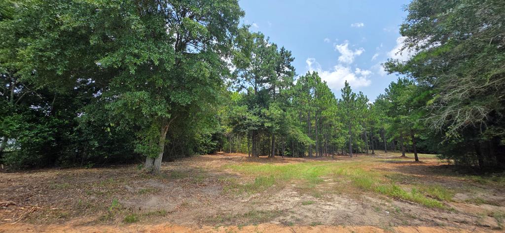 3.14-acres Corbin Road Newton, AL 36352 - Photo 10 of 31 Gallery Image 10