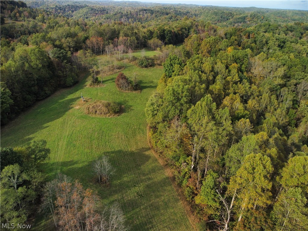 6300 Altizer Road Arnoldsburg, WV 25234 - Photo 19 of 26 Gallery Image 19